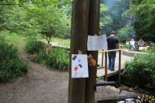 53_gc_stammtisch_41_20150506